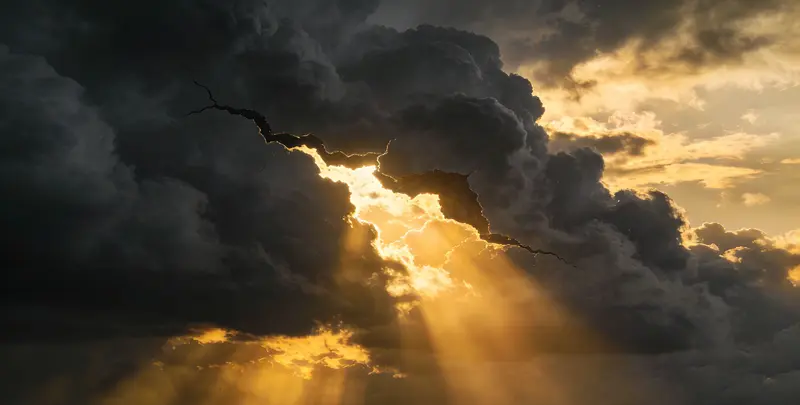 白山肺癌11基因检测组织版图片1